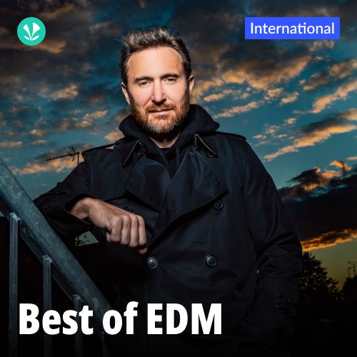 Best Of EDM - English