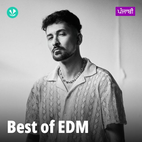Best of  EDM - Punjabi