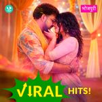 Bhojpuri Viral Hits
