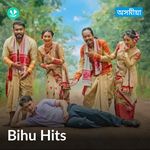 Bihu Hits