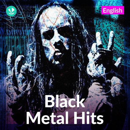 Black Metal Darkness