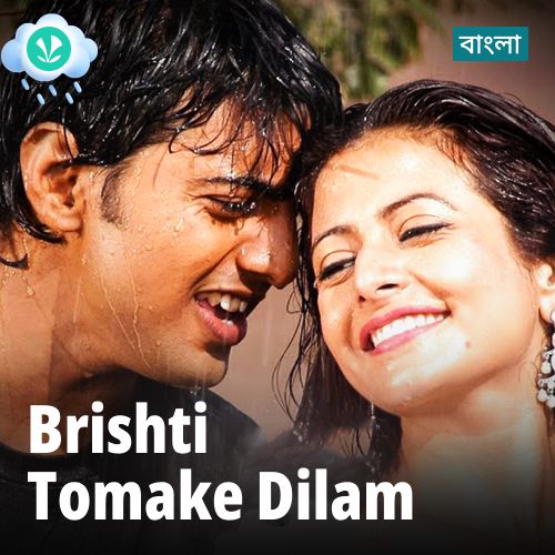 Brishti Tomake Dilam