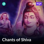 Chants Of Shiva