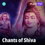 Chants Of Shiva