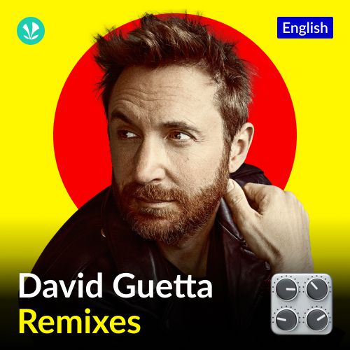 David Guetta Remixes - English