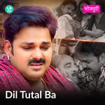 Dil Tutal Ba - Bhojpuri