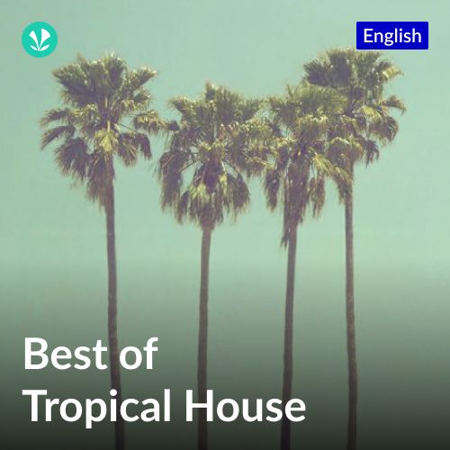 Editors Pick - Tropical House