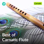 Best Of Carnatic Flute