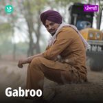 Gabroo