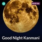 Good Night Kanmani