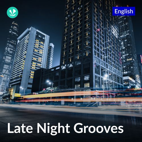 Late Night Grooves