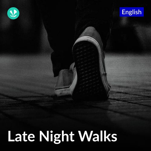 Late Night Walks