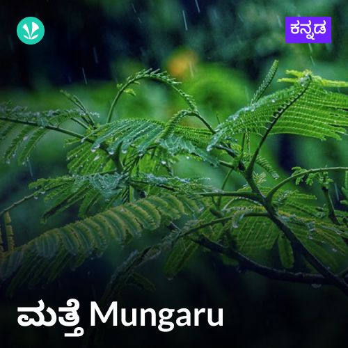 Matte Munguru - Raindrop