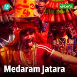 Medaram Jatara