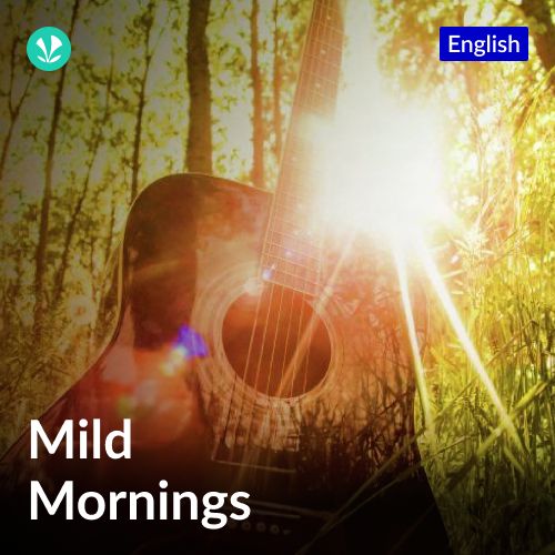 Mild Mornings_poster_image