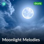 Moonlight Melodies