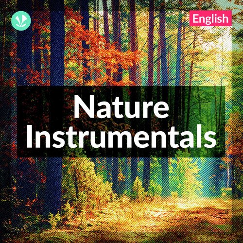 Nature Instrumentals