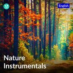 Nature Instrumentals