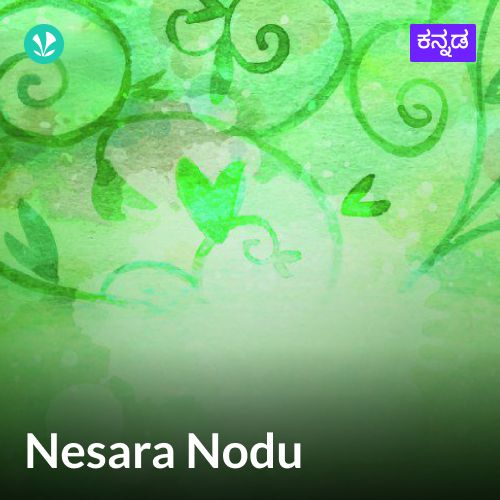 Nesara Nodu