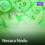 Nesara Nodu