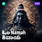 Om Namah  Shivaya