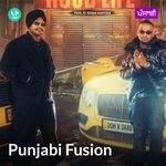 Punjabi Fusion