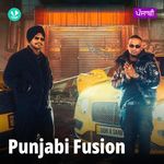 Punjabi Fusion