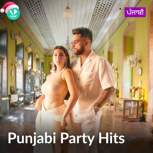 Punjabi Party Hits