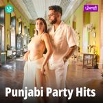 Punjabi Party Hits