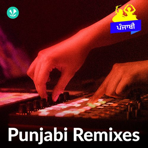 Punjabi Remixes