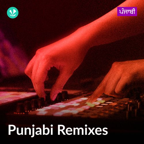 Punjabi Remixes