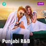 Punjabi R N B