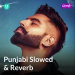 Punjabi Slowed And Reverb