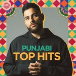 Punjabi Top Hits