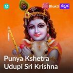 Punya Kshetra - Udupi Sri Krishna