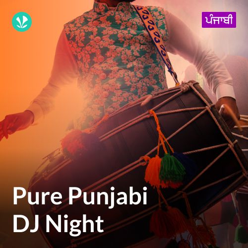 Pure Punjabi DJ Night