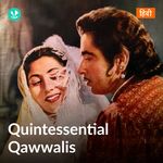 Quintessential Qawwalis