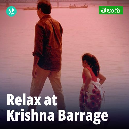 Relax at Krishna Barrage