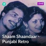 Shaam Shaandaar  - Punjabi Retro