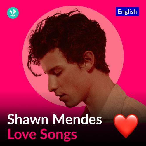Shawn Mendes Love Songs - English