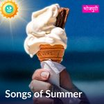 Songs Of Summer - Bhojpuri