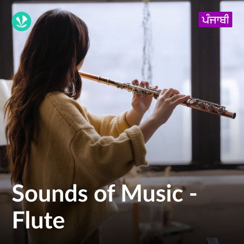 Sounds of Music - Flute - Punjabi
