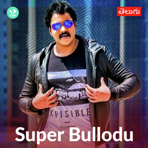 Super Bullodu - Sunil Hits