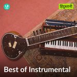 Best Of Instrumental - Hindustani