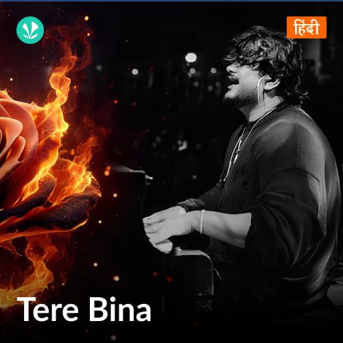 Tere Bina