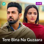 Tere Bina Na Guzaara