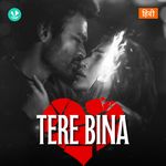 Tere Bina
