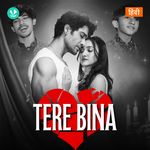 Tere Bina