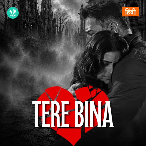 Tere Bina