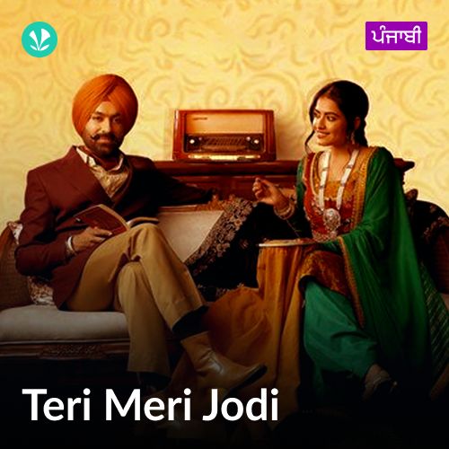 Teri Meri Jodi
